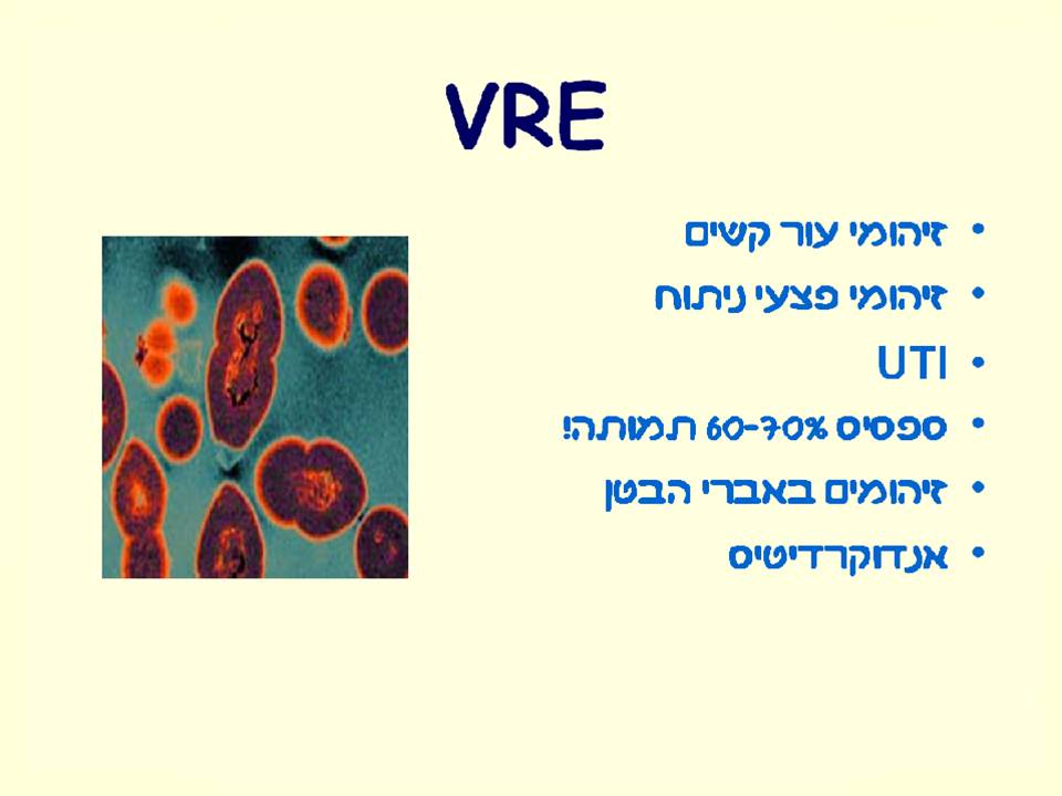 זיהומים נרכשים ודרכי מניעתם by murad jumhor - Illustrated by murad jumhor - Ourboox.com