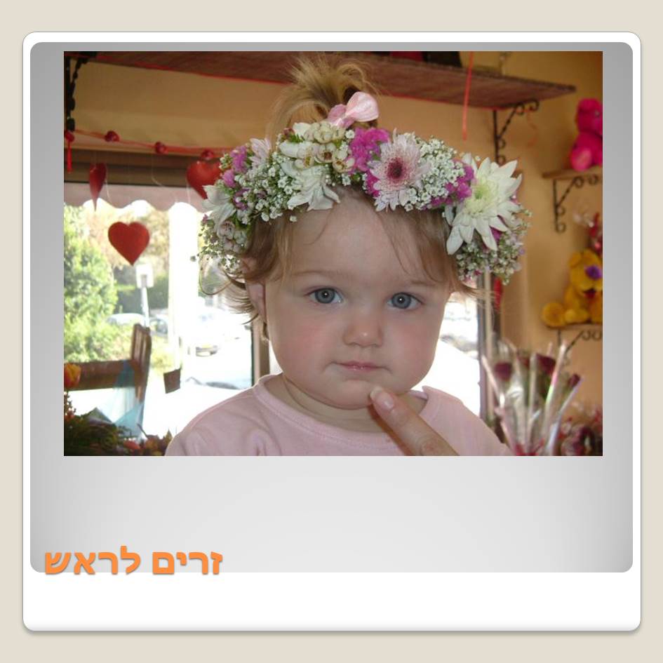 פרחים by Lehava Or Yehuda - Ourboox.com