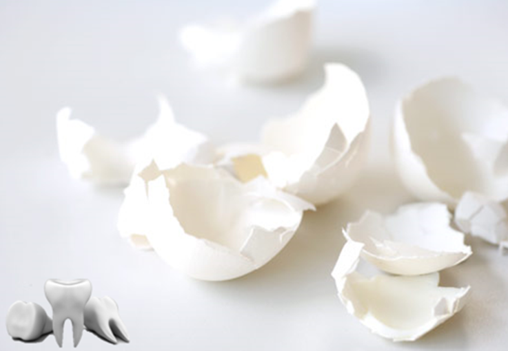 עבודת חקר ט’4 – שלי,מעין, שירה רימון ונועה אורזל by shelly kulagin - Illustrated by שלי קולאגין, שירה רימון, נועה אורזל ומעין שליט - Ourboox.com