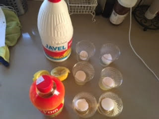 עבודת חקר ט’4 – שלי,מעין, שירה רימון ונועה אורזל by shelly kulagin - Illustrated by שלי קולאגין, שירה רימון, נועה אורזל ומעין שליט - Ourboox.com