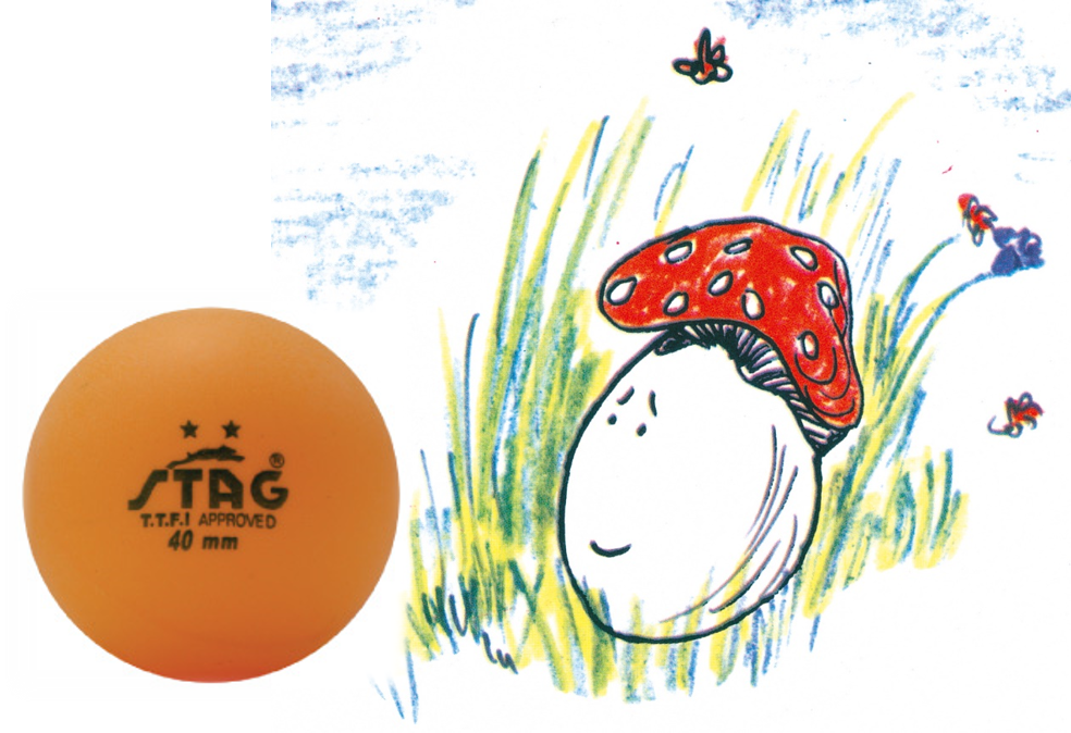 הביצה שהתחפשה by liel ben lulu - Ourboox.com