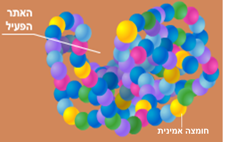 אינזימים by sigalit gat - Illustrated by סיגלית גת - Ourboox.com