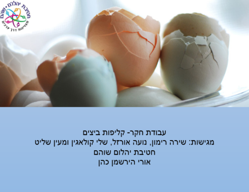 עבודת חקר ט’4 – שלי,מעין, שירה רימון ונועה אורזל by shelly kulagin - Illustrated by שלי קולאגין, שירה רימון, נועה אורזל ומעין שליט - Ourboox.com