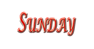 my favorites by ali abunaji - Ourboox.com