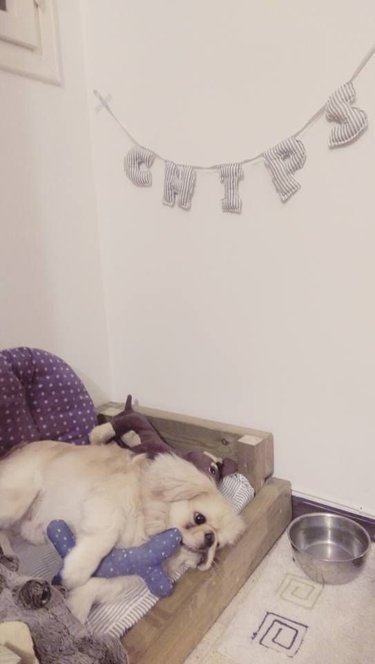 Chips by mayasady - Illustrated by מאיה סדי - Ourboox.com