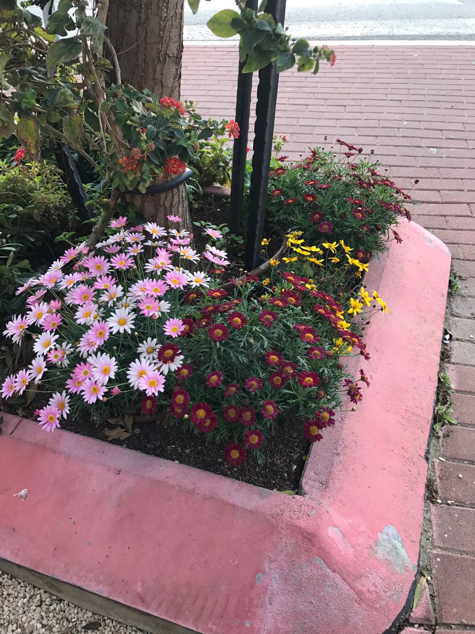 הסביבה שלנו بيئتنا by shmoni alef - Ourboox.com