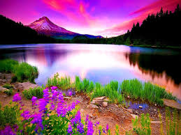 صور جميله للطبيعه by yana - Ourboox.com