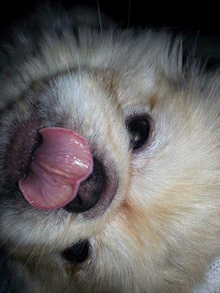 Chips by mayasady - Illustrated by מאיה סדי - Ourboox.com