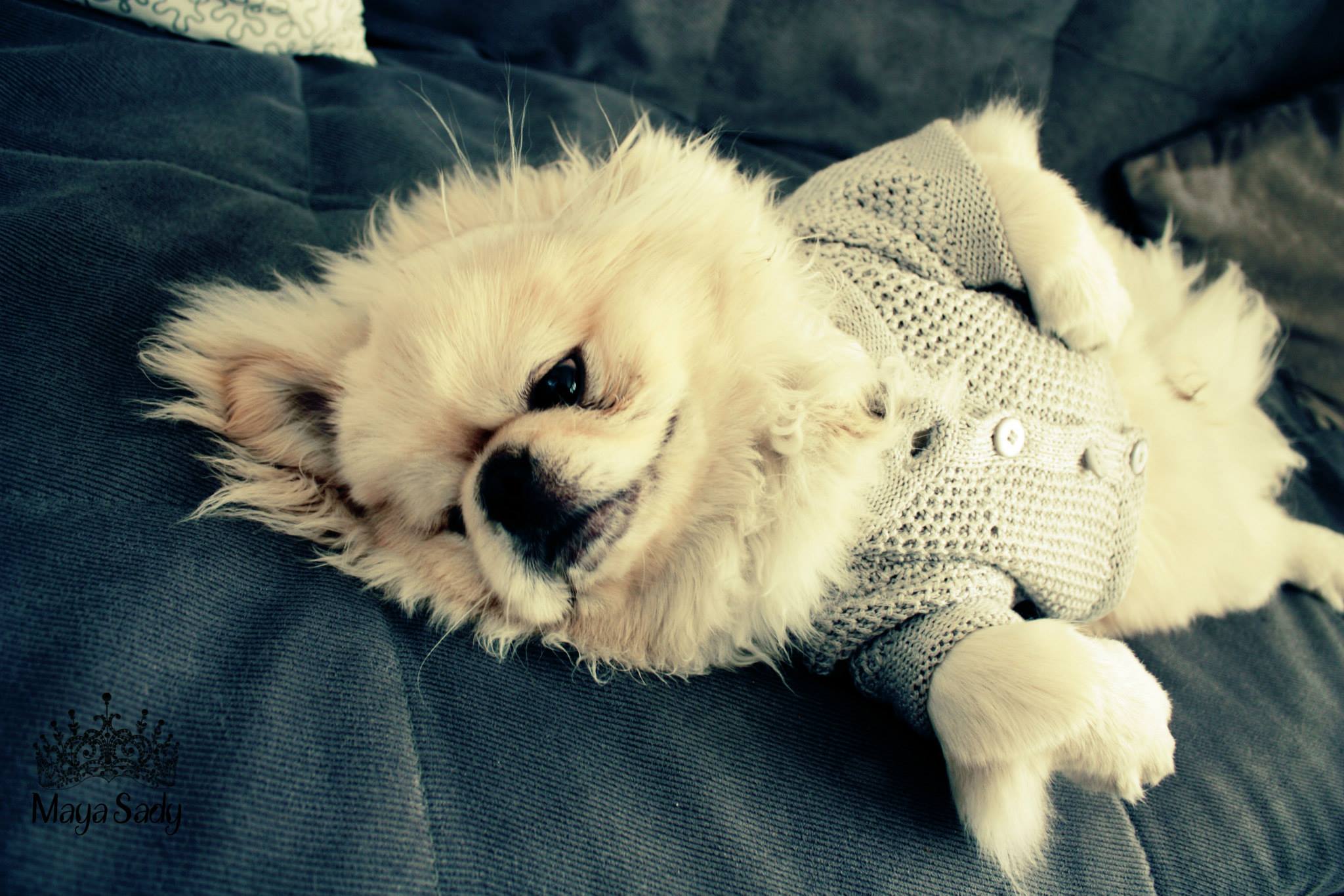 Chips by mayasady - Illustrated by מאיה סדי - Ourboox.com