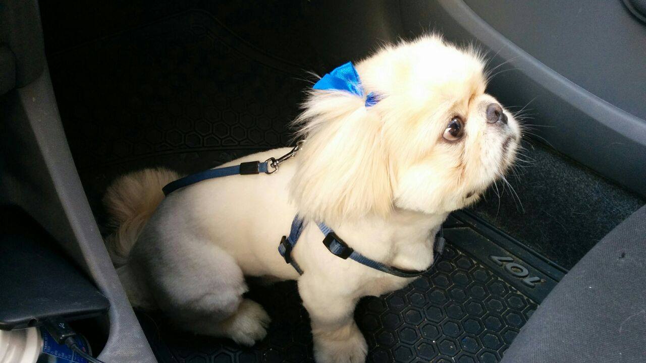 Chips by mayasady - Illustrated by מאיה סדי - Ourboox.com