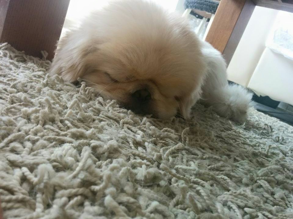 Chips by mayasady - Illustrated by מאיה סדי - Ourboox.com