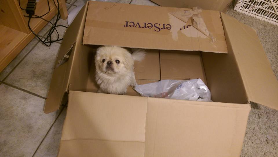 Chips by mayasady - Illustrated by מאיה סדי - Ourboox.com