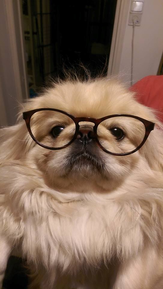 Chips by mayasady - Illustrated by מאיה סדי - Ourboox.com