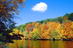 ПРИРОДА ВОСЕНИ by Maryna - Ourboox.com