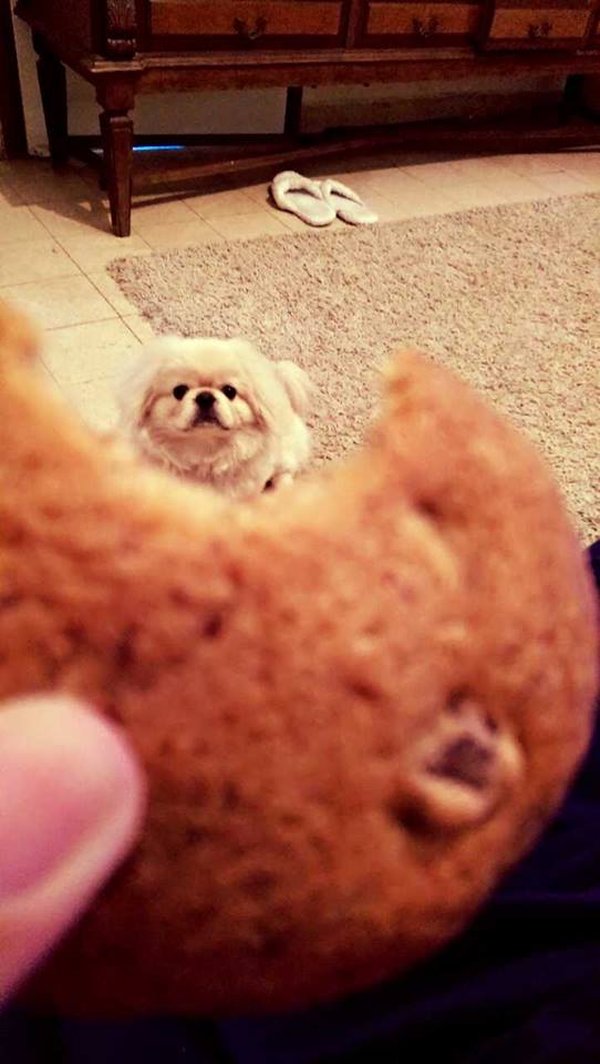 Chips by mayasady - Illustrated by מאיה סדי - Ourboox.com