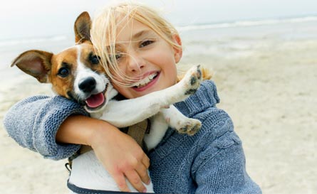 כלב-חברו הטוב של האדם by daniella fux - Illustrated by דניאלה פוקס - Ourboox.com