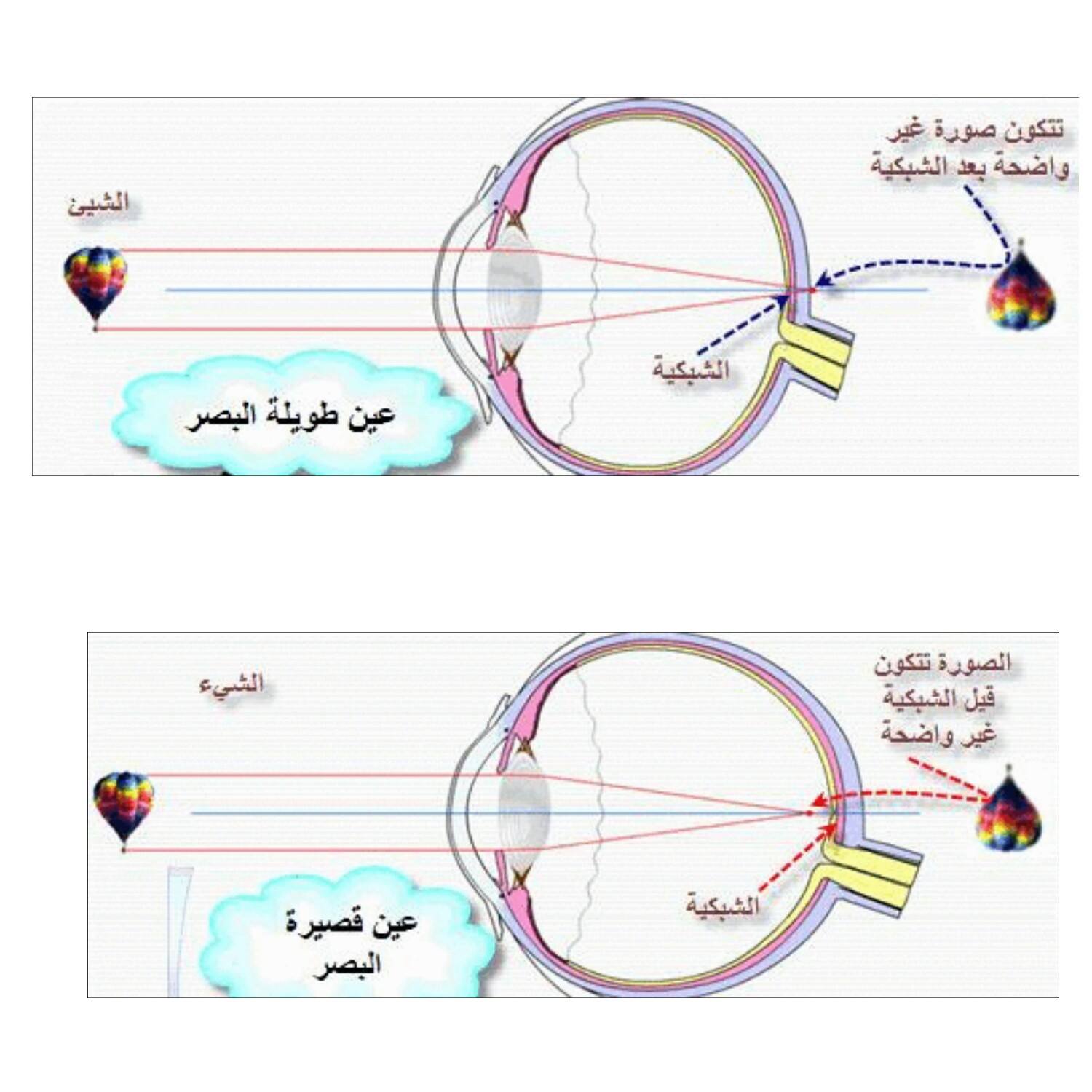 العين by chahed - Ourboox.com