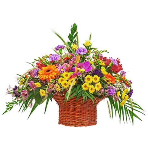 פרחים by Lehava Or Yehuda - Ourboox.com