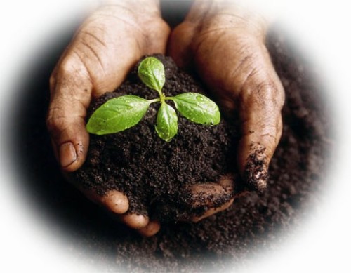 עבודת חקר במדעים by yuval lahat - Illustrated by מגישים: יובל להט, סער אשל, רן פלדמן, ניב בן-ישי        בית ספר: יהלום שוהם      מוגש למורה: אורי הירשמן-כהן - Ourboox.com