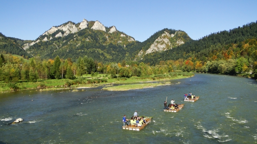 niepylak apollo by Karol Kowalski - Ourboox.com