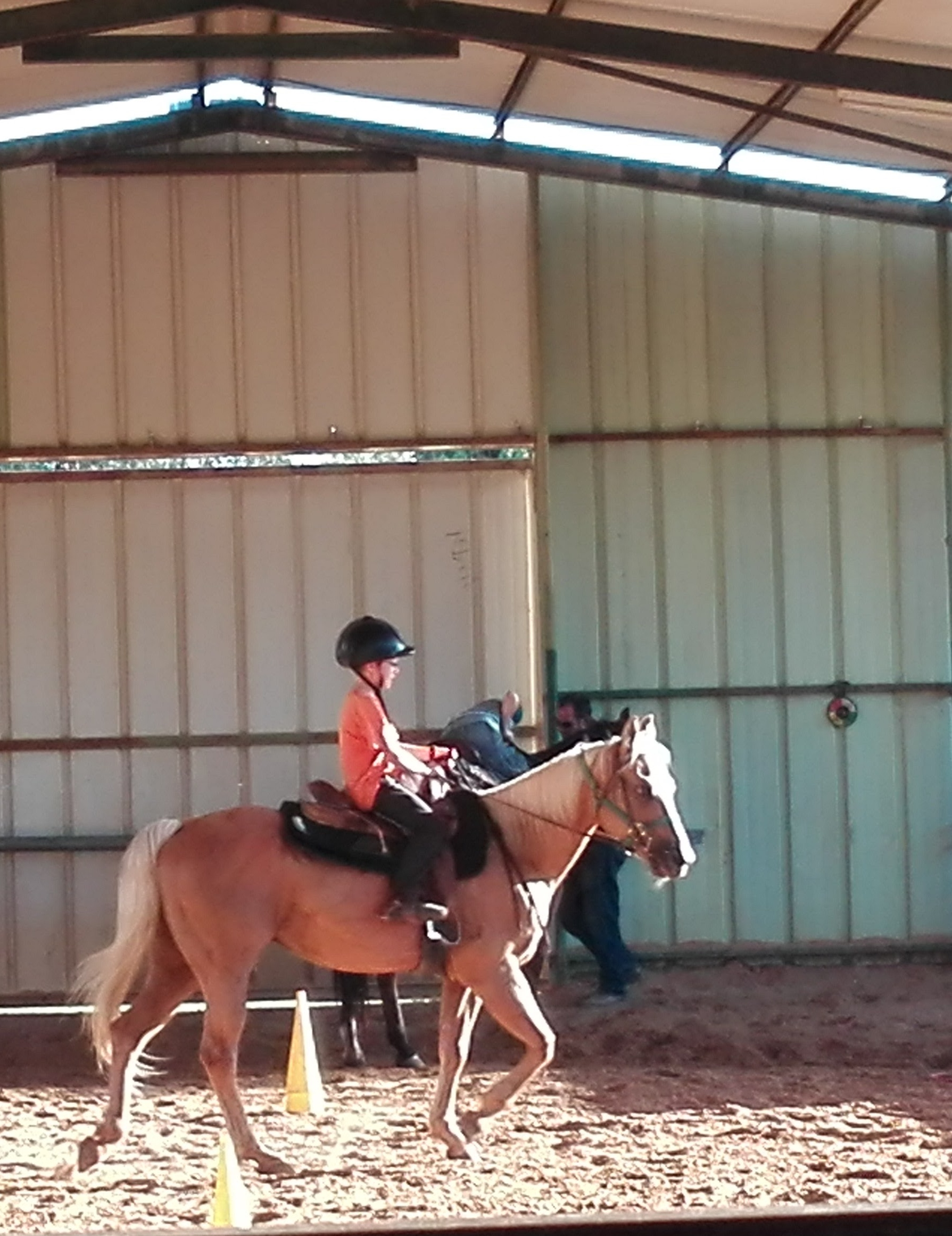 The class by dhkgs  - Ourboox.com