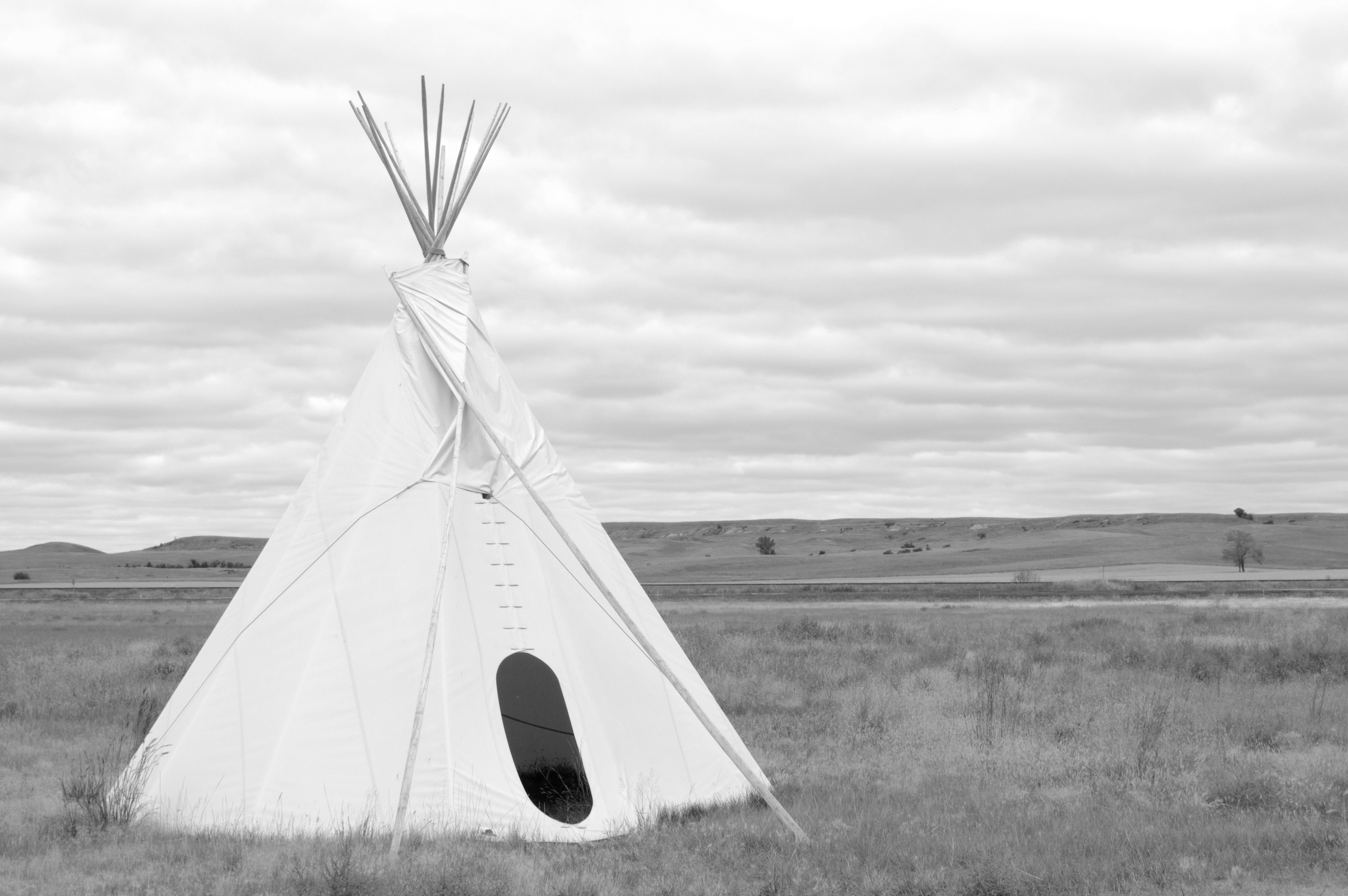 Living Like a Turtle by libi - Ourboox.com