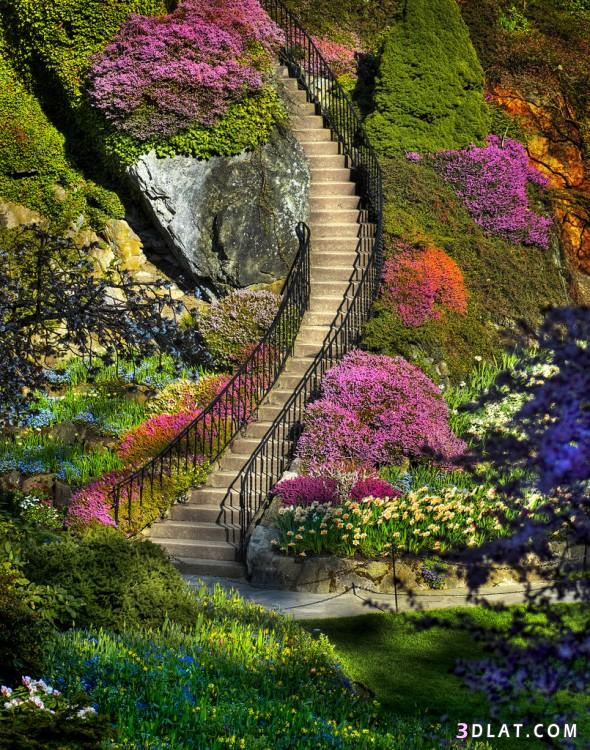 صور جميله للطبيعه by yana - Ourboox.com