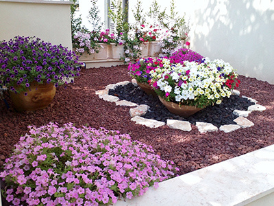 פרחים by Lehava Or Yehuda - Ourboox.com