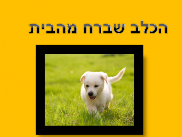 הכלב שרצה ללכת למספרה מאת טל ואופק ד2 by reut reshonlezion - Ourboox.com