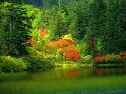 صور جميله للطبيعه by yana - Ourboox.com