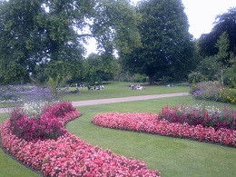 Ireland by Milvi - Ourboox.com