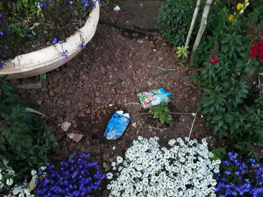 הסביבה שלנו بيئتنا by kvotza nine - Ourboox.com