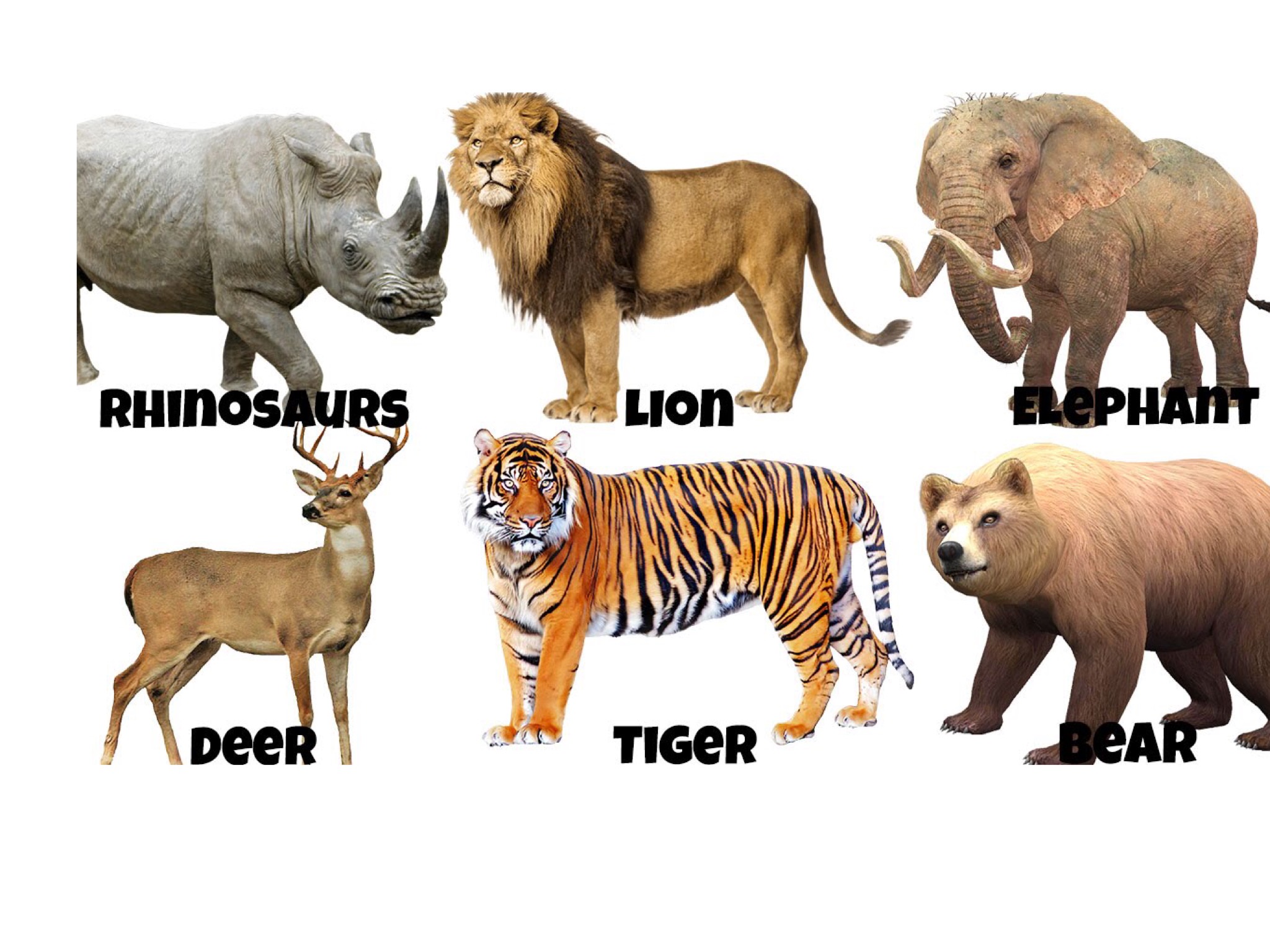 כותרת by yael tamir - Illustrated by יעל - Ourboox.com