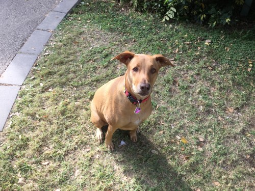 Or by or - Ourboox.com