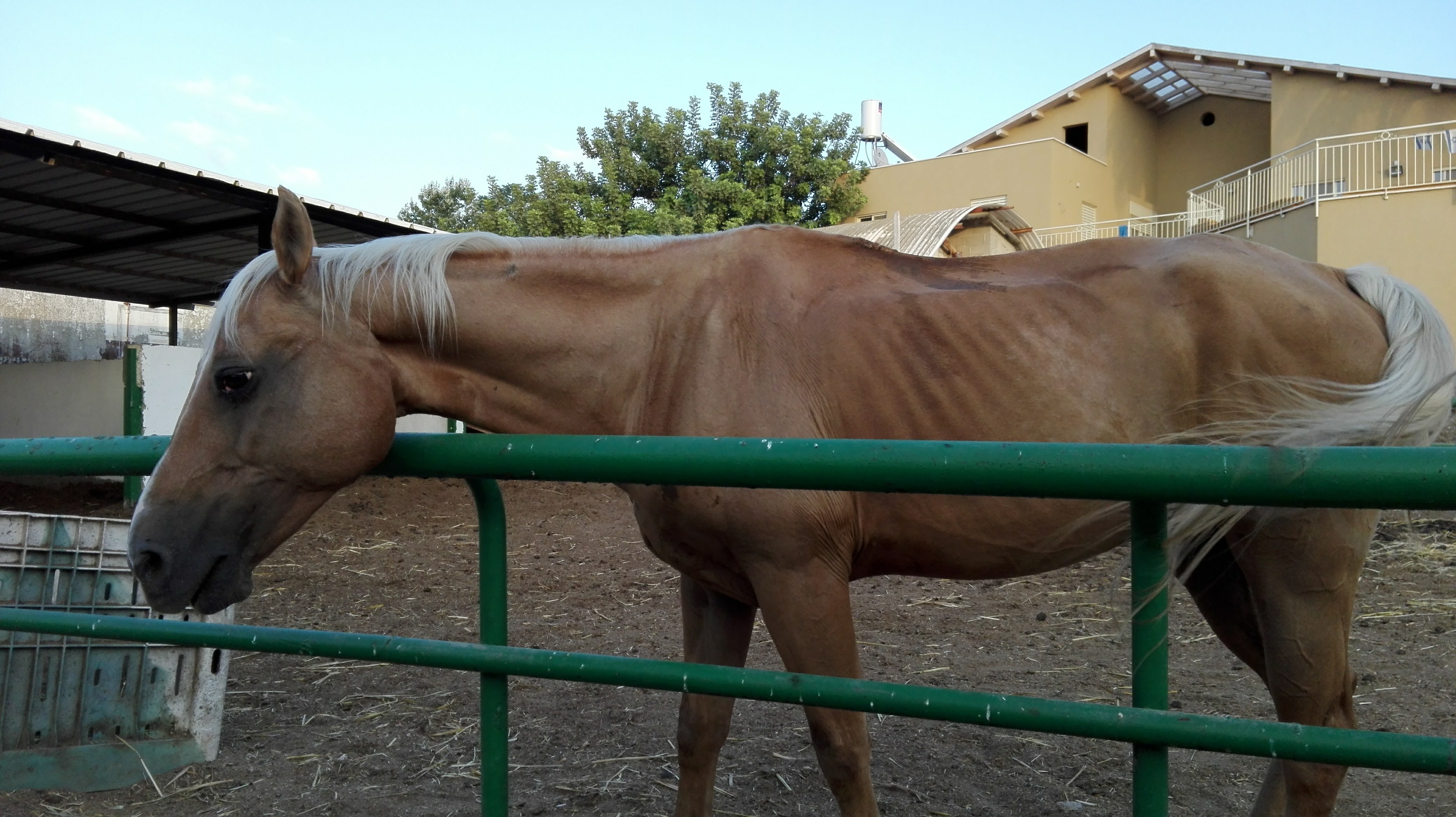 The class by dhkgs  - Ourboox.com