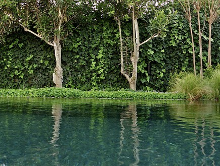 פרחים by Lehava Or Yehuda - Ourboox.com