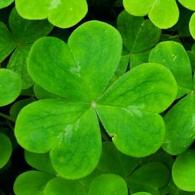 Ireland by Terje - Ourboox.com