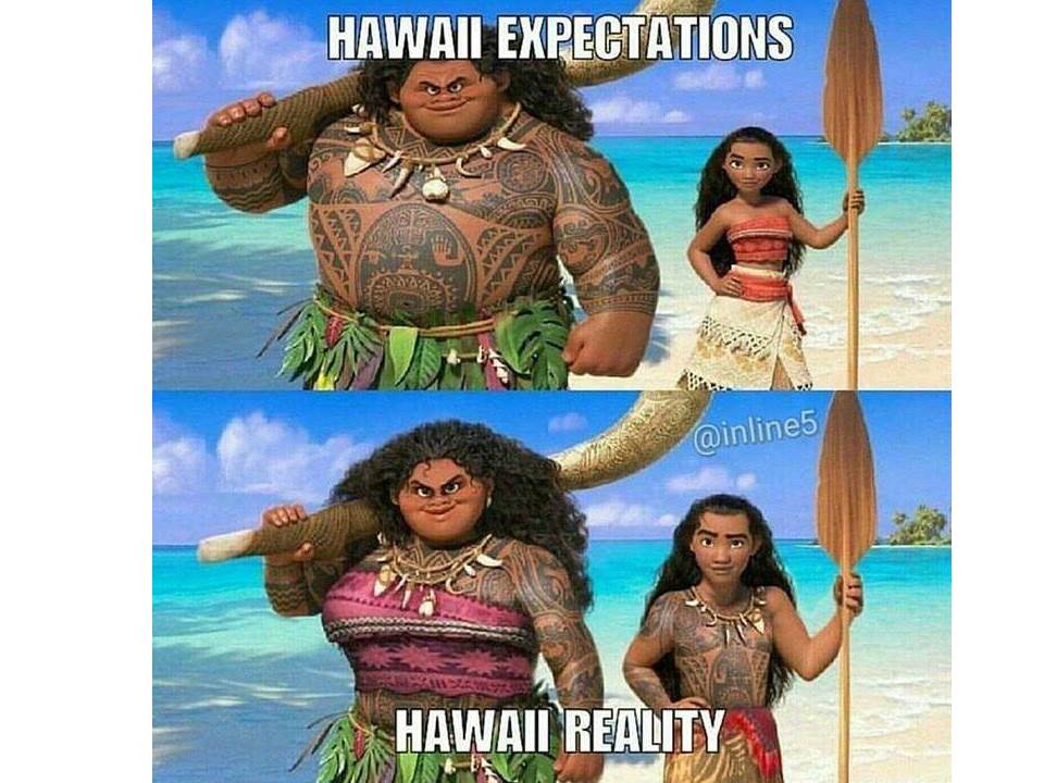 moana – movie review by Nitzan shosfy - Ourboox.com