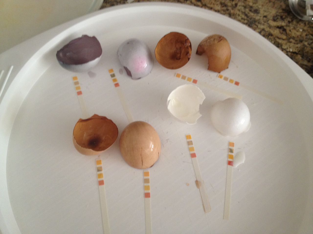 עבודת חקר ט’4 – שלי,מעין, שירה רימון ונועה אורזל by shelly kulagin - Illustrated by שלי קולאגין, שירה רימון, נועה אורזל ומעין שליט - Ourboox.com