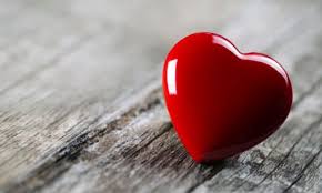 Criceto IIB by rebecca - Illustrated by IIB - Ourboox.com