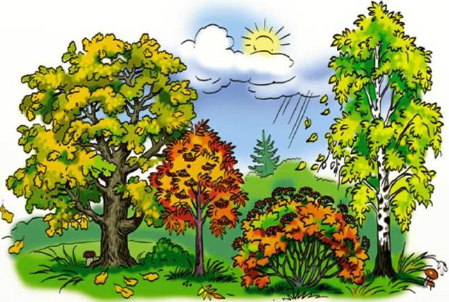 ПРИРОДА ВОСЕНИ by Maryna - Ourboox.com