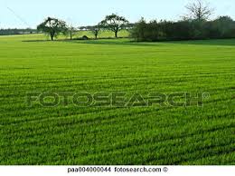 my dairy 4 by aeadsaab - Ourboox.com