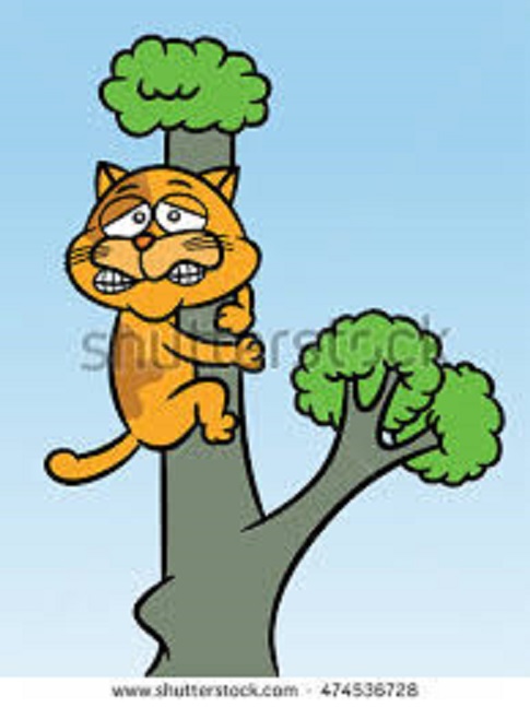 The world of animals by Varda Hamo - Ourboox.com