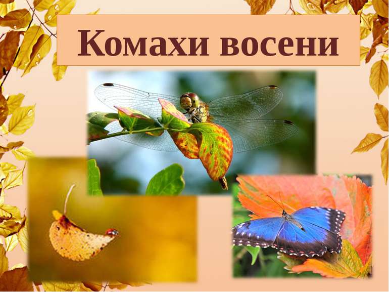 ПРИРОДА ВОСЕНИ by Maryna - Ourboox.com