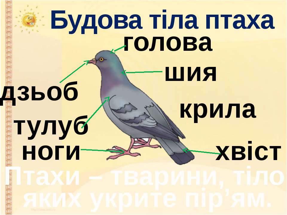 ПРИРОДА ВОСЕНИ by Maryna - Ourboox.com