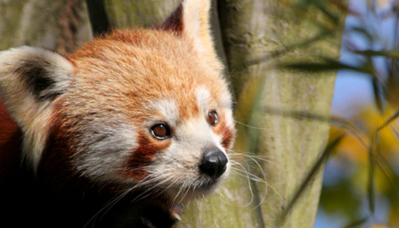 Ireland by Kelli Pensa - Ourboox.com