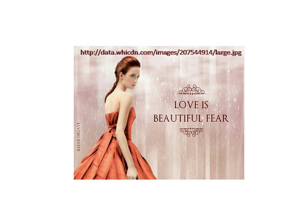 the selection 1 by shahar yeni - Illustrated by taken mostly from the net - Ourboox.com