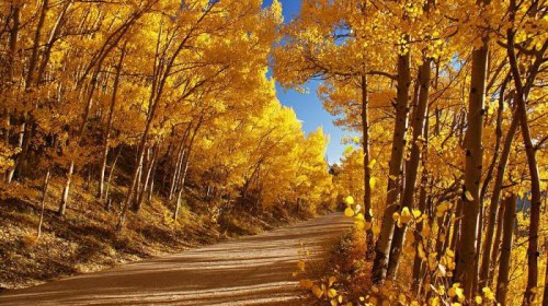 ПРИРОДА ВОСЕНИ by Maryna - Ourboox.com