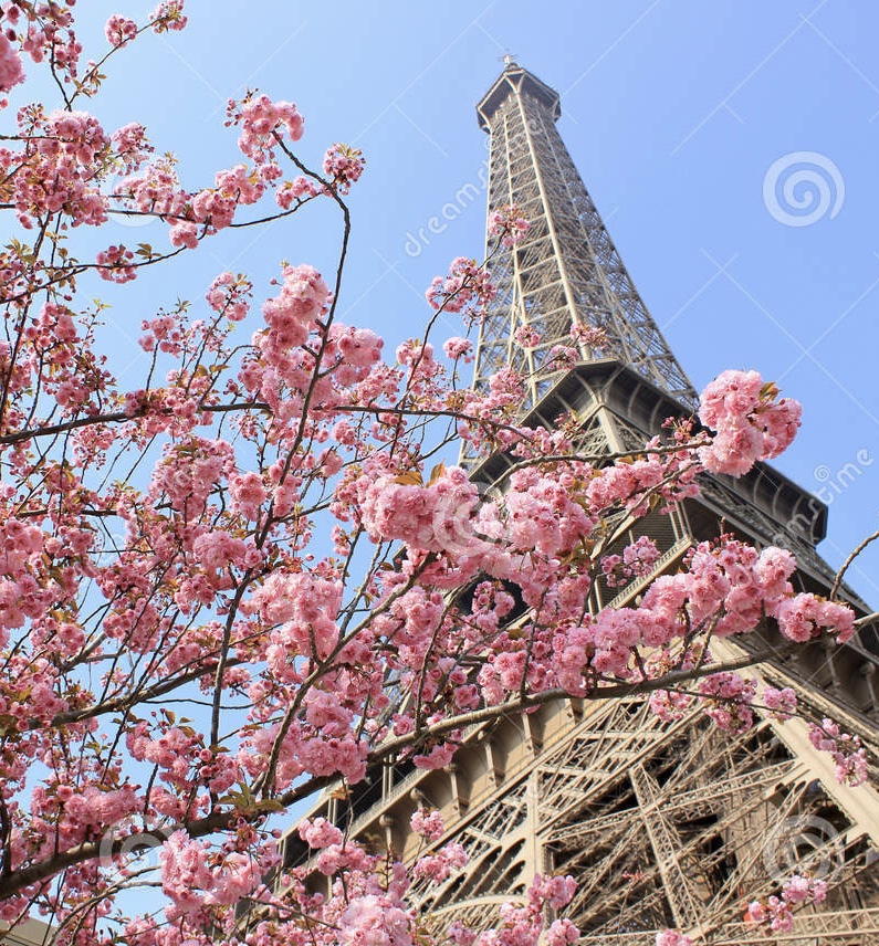 Íslensku ritun, Heimsrisa Sunneva Sól Símonar 10.BJ by Sunneva Símonar - Illustrated by Sunneva Sól Símonardóttir - Ourboox.com