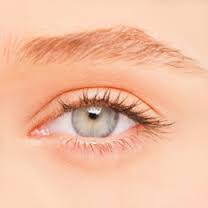 العين by chahed - Ourboox.com